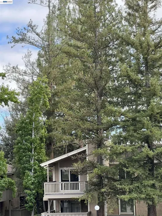Property image of 5455 Kirkwood Dr APT C8, Concord, CA 94521